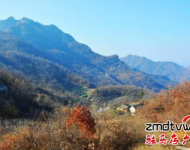 爬山：嵖岈山溫泉小鎮度假酒店,是我市首家五星級度假酒店,各項硬件設施齊全,服務周到入住酒店即送溫泉門票.嵖岈山溫泉小鎮旁邊有座海拔不到200米的花山, ,適合喜歡休閑健身的游客登高游玩。