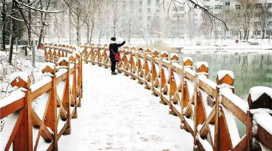 今晨，2016第一場雪親吻大駐馬，簡直美爆了！