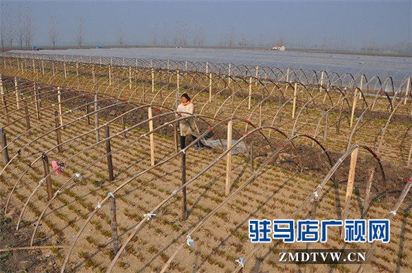 美麗鄉村.jpg
