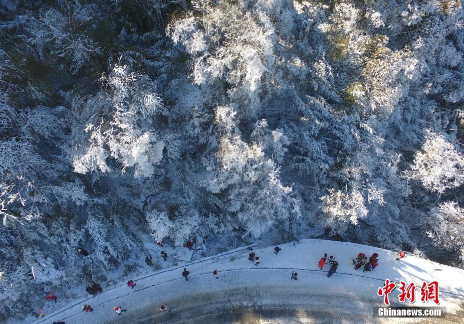 12月20日，重慶金佛山銀裝素裹雪景美如畫，吸引了不少游客前來觀賞。當日，第19屆金佛山冰雪節正式開幕。 陳超 攝