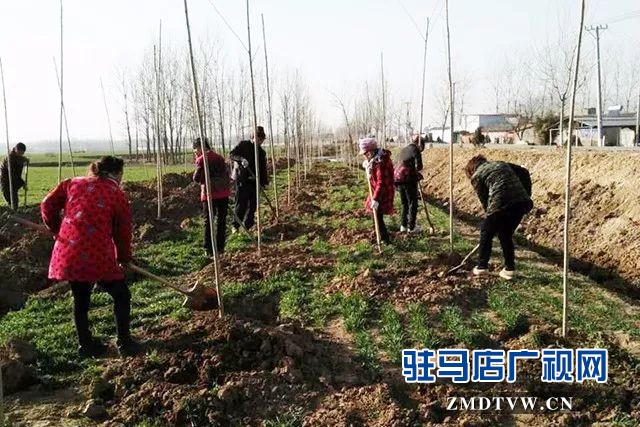 02崇禮鄉.jpg