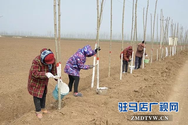 04大路李鄉.jpg