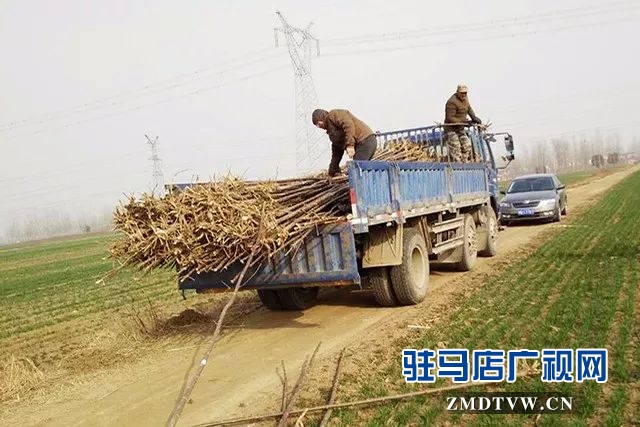 03無量寺鄉.jpg