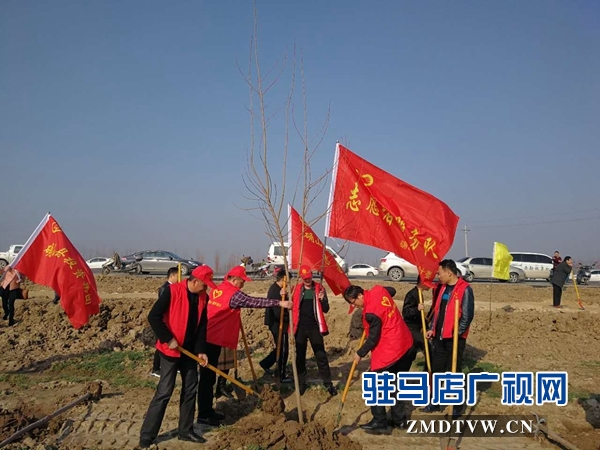 1、確山縣衛計委在蓮花社區開展植樹造林活動.jpg
