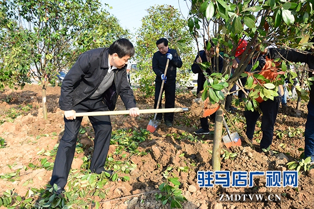 02縣委副書記、縣長李衛明參加植樹活動.JPG