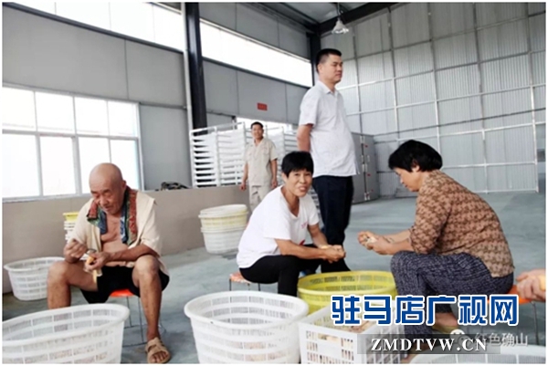 確山縣：中國農加工洽談會籌備工作進行中