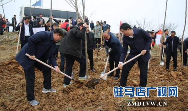 駐馬店各縣區掀起冬季義務植樹熱潮