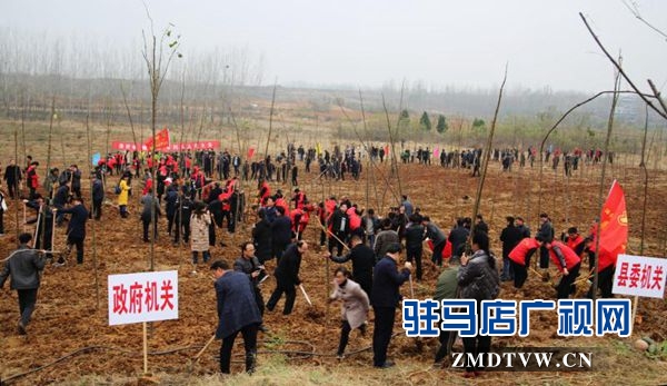 駐馬店各縣區掀起冬季義務植樹熱潮