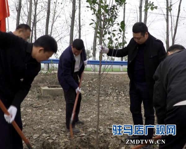 駐馬店各縣區掀起冬季義務植樹熱潮