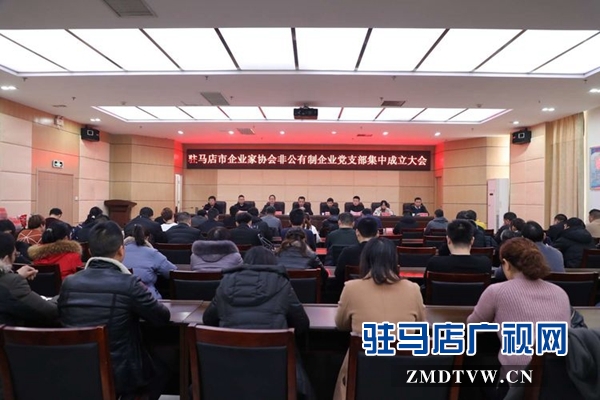 駐馬店企業家協會召開非公有制企業黨支部集中成立大會