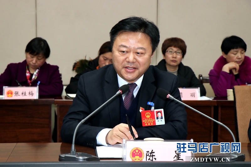 陳星參加上蔡代表團的審議政府工作報告時發言。
