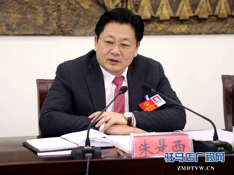 朱是西參加平輿代表團的審議政府工作報告時發言。