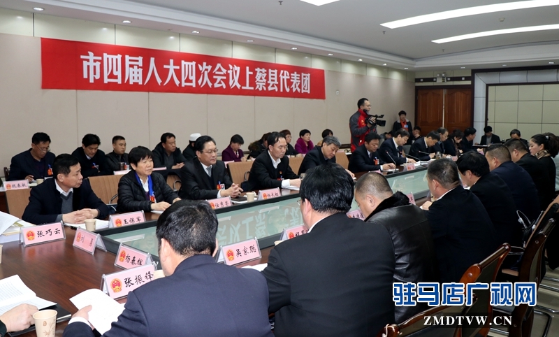 陳星參加上蔡代表團的審議政府工作報告，聆聽代表發言
