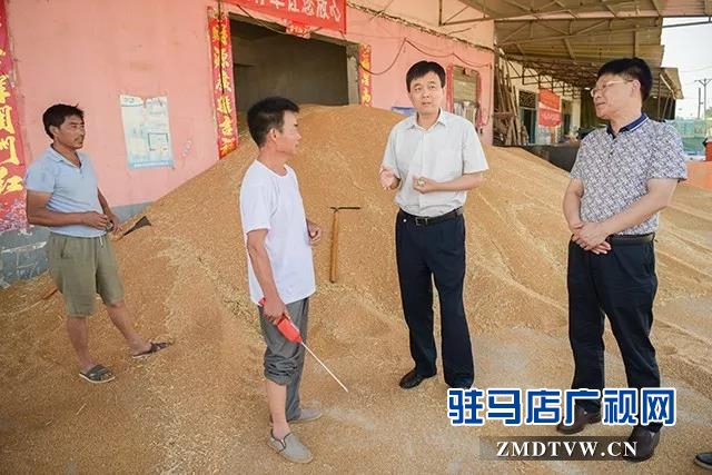 上蔡縣委副書記 縣長李衛明深入部分鄉鎮督導“三夏”生產等工作