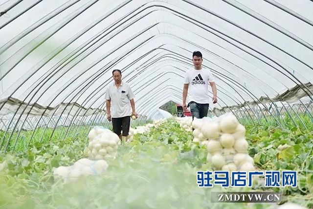 梁永飛：帶著鄉親一起“飛”的90后