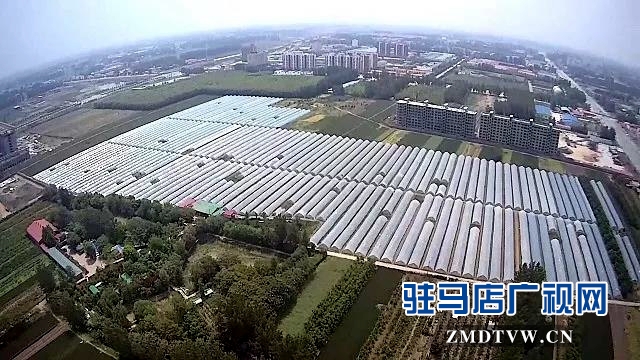 梁永飛：帶著鄉親一起“飛”的90后