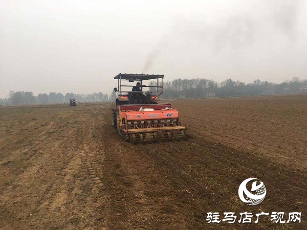 泌陽縣小麥播種陸續完成