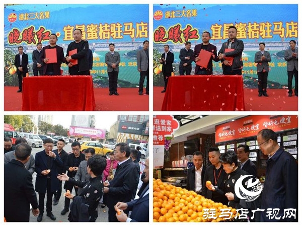 湖北三大名果曉曦紅?宜昌蜜桔駐馬店農超對接產品推介會在歡樂愛家舉行
