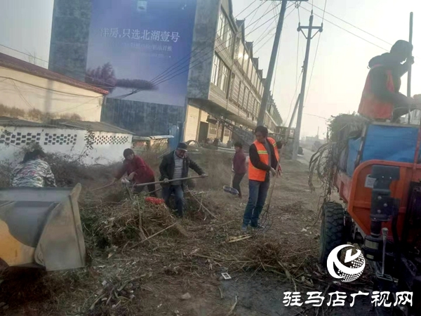 新蔡縣楊莊戶鄉打響環境治理攻堅戰