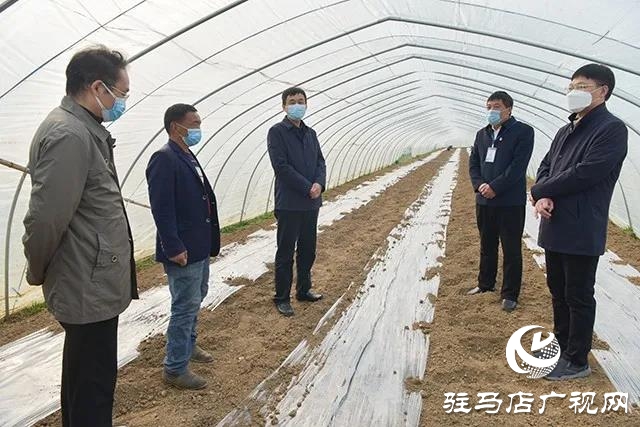 上蔡縣領導李衛明督導國土綠化農業產業結構調整等工作
