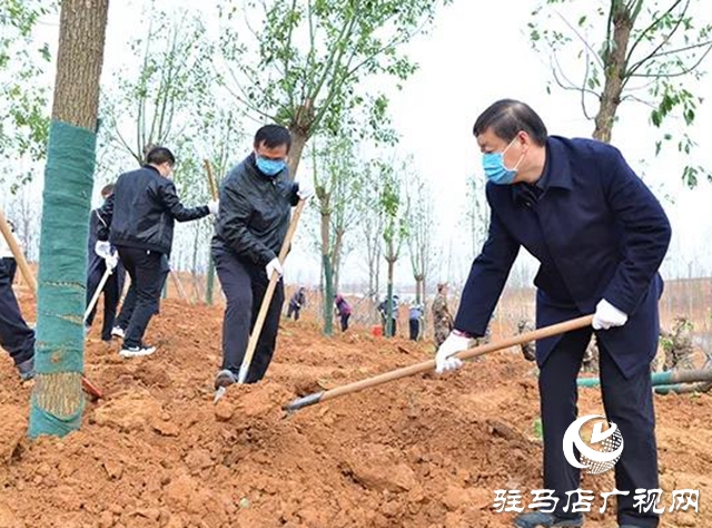 上蔡縣四大班子領導參加義務植樹活動
