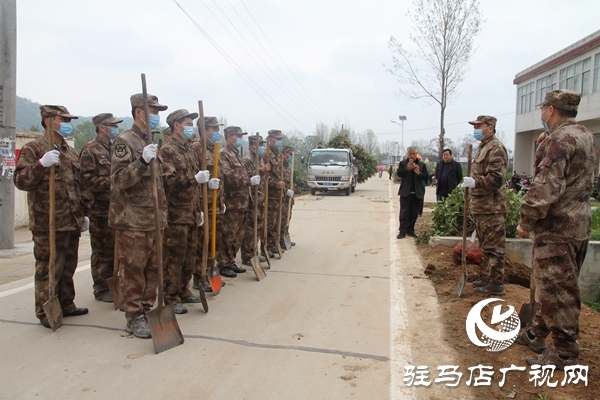 驛城區人武部為幫扶村“披綠”
