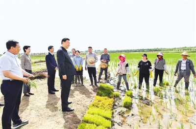 習近平在寧夏考察時強調  決勝全面建成小康社會決戰脫貧攻堅繼續建設經濟繁榮民族團結環境優美人民富裕的美麗新寧夏