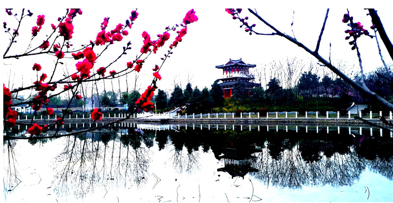 攝影：王線，拍攝于置地公園