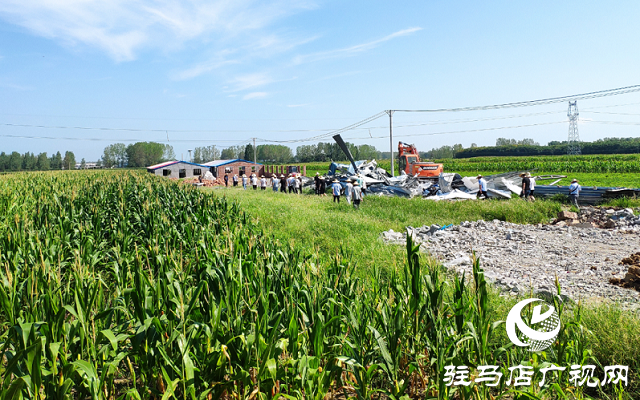 駐馬店市驛城區對農村亂占耕地建房8類問題“零容忍”