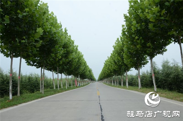 驛城區水屯鎮關帝廟   產 業興旺  日子紅火