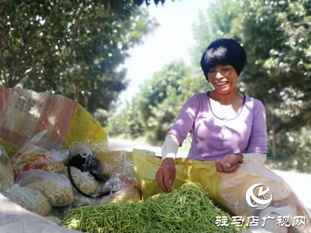 西平縣五溝營鎮：金銀花種植助推脫貧攻堅