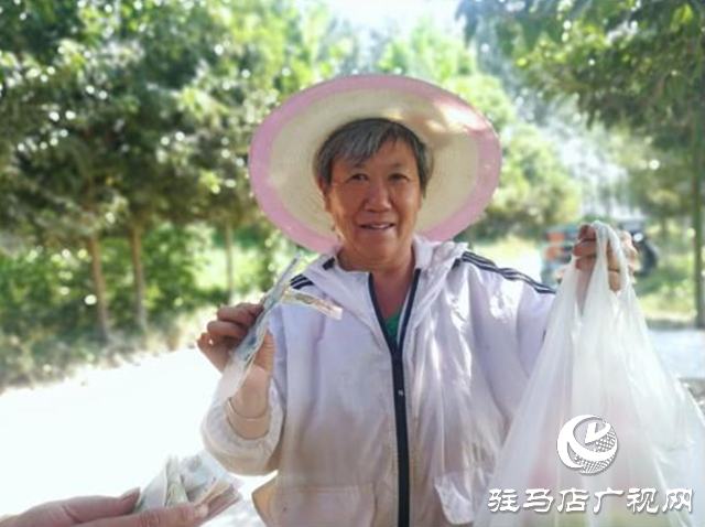 西平縣五溝營鎮：金銀花種植助推脫貧攻堅