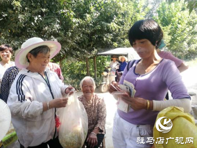 西平縣五溝營鎮：金銀花種植助推脫貧攻堅