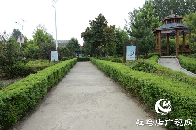 驛城區水屯鎮：發掘“能人”潛力 牽手脫貧致富