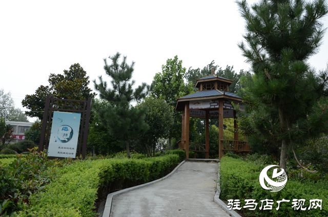 驛城區水屯鎮：發掘“能人”潛力 牽手脫貧致富