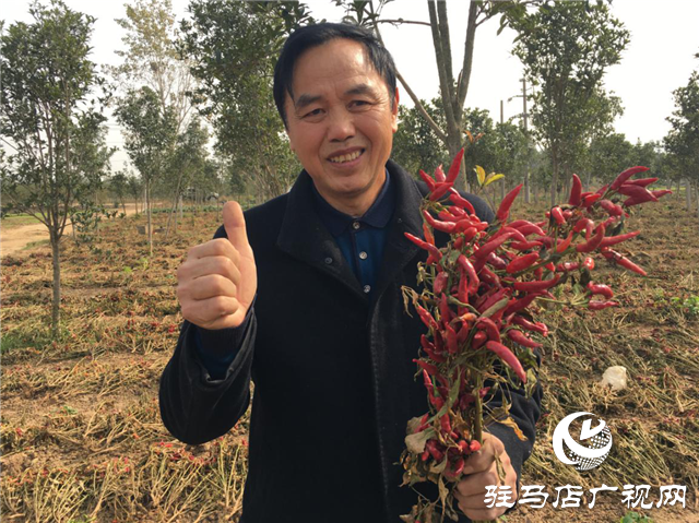 攜手北沃 見證豐收 ——北沃高鈣肥再顯神威，表現驚艷眾人！