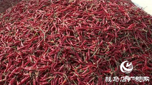 攜手北沃 見證豐收 ——北沃高鈣肥再顯神威，表現驚艷眾人！