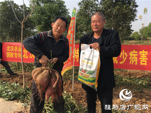 攜手北沃 見證豐收 ——北沃高鈣肥再顯神威，表現驚艷眾人！