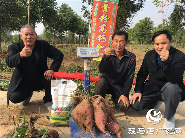 攜手北沃 見證豐收 ——北沃高鈣肥再顯神威，表現驚艷眾人！