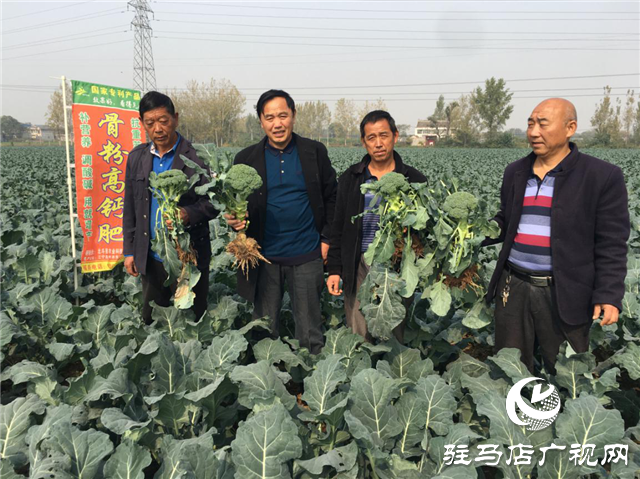 攜手北沃 見證豐收 ——北沃高鈣肥再顯神威，表現驚艷眾人！