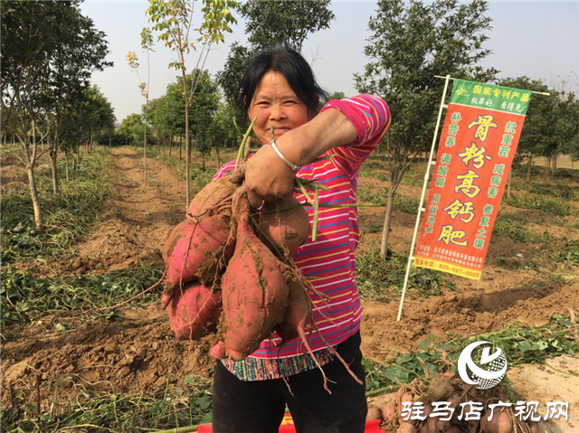 攜手北沃 見證豐收 ——北沃高鈣肥再顯神威，表現驚艷眾人！