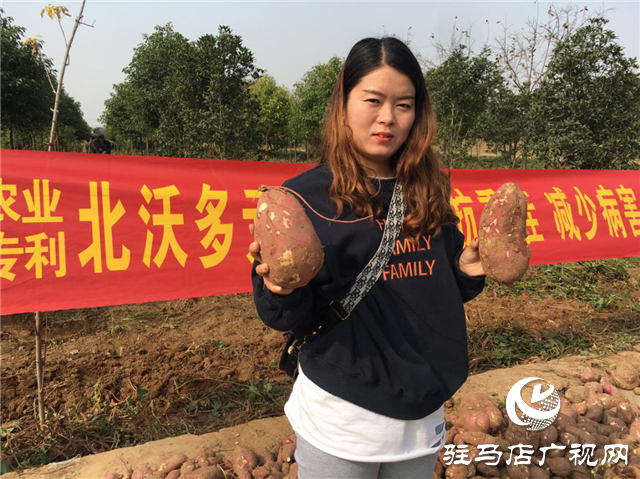 攜手北沃 見證豐收 ——北沃高鈣肥再顯神威，表現驚艷眾人！