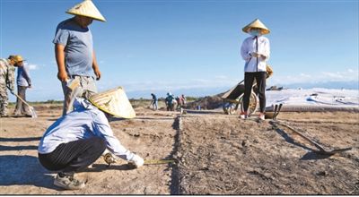 遺址格局逐步清晰，歷史文化內涵日益豐富  北庭故城考古發現不斷深入