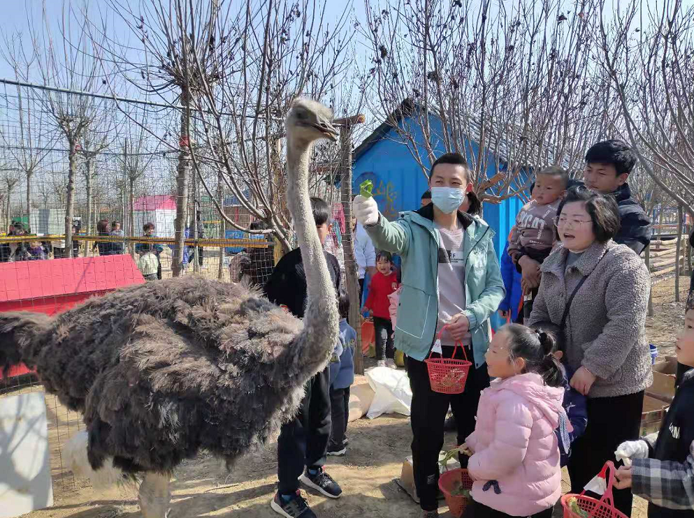 “播種希望·擁抱未來”植樹節戶外體驗活動開始啦！