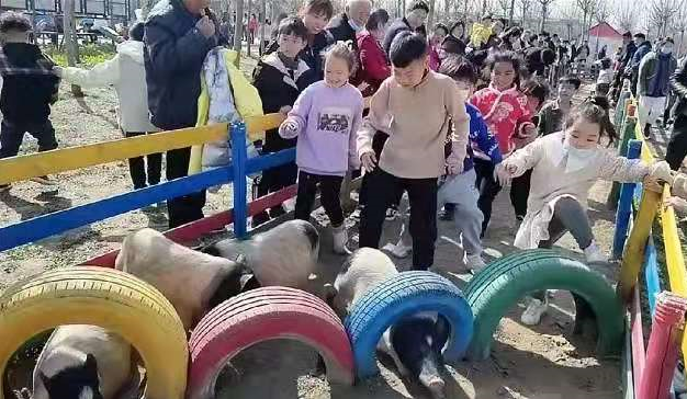 “播種希望·擁抱未來”植樹節戶外體驗活動開始啦！