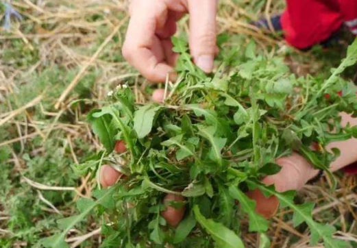“播種希望·擁抱未來”植樹節戶外體驗活動開始啦！