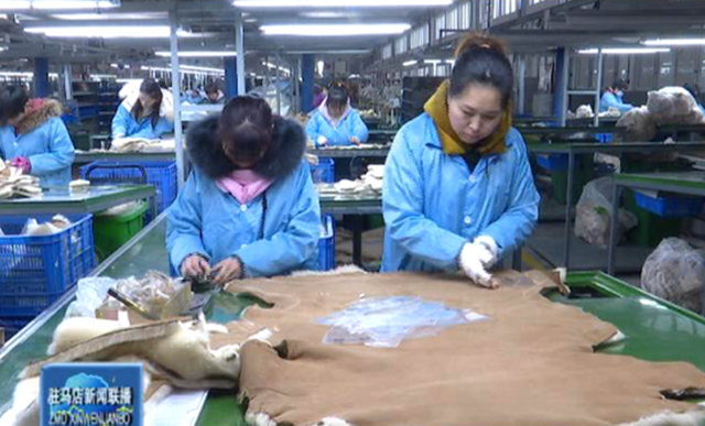 駐馬店：優化營商環境 打造投資興業高地