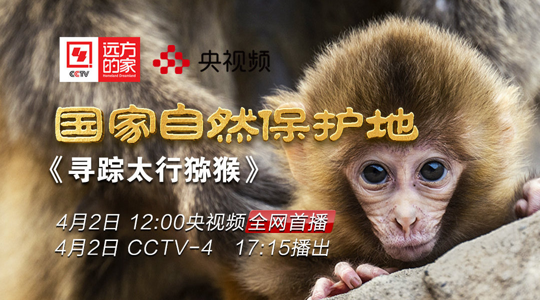 今天17:15分鎖定CCTV4！濟源登上央視《遠方的家》