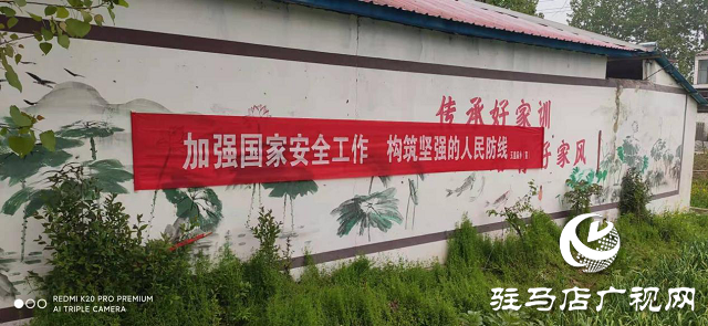 平輿縣玉皇廟鄉開展全民國家安全教育日宣傳活動