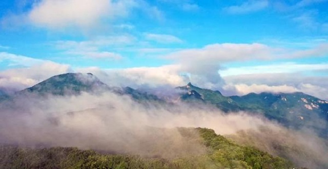 “市”外有桃園，宜陽花果山，遛娃首選點